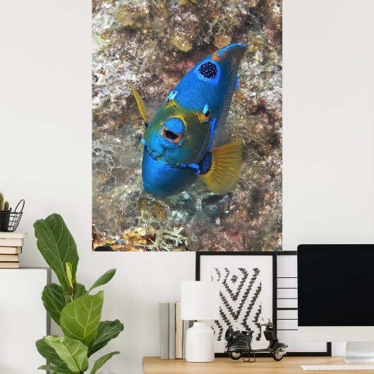 Poster Visage d'un ange (Bureau à domicile)