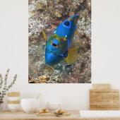 Poster Visage d'un ange (Cuisine)