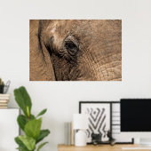 Poster Visage d'un éléphant (Bureau à domicile)
