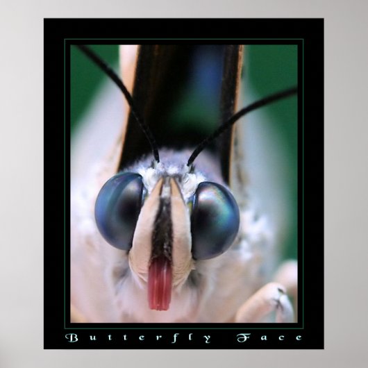 Poster Visage papillon (Devant)