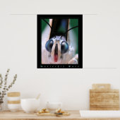 Poster Visage papillon (Cuisine)