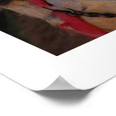 Poster Visages de chameau (Coin)