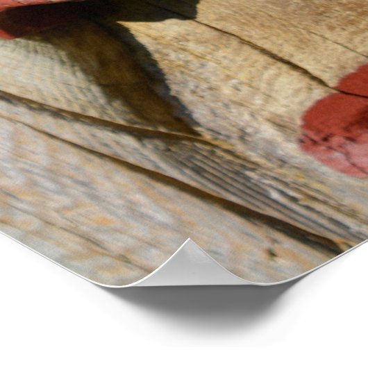 Poster Visages D'Un Pôle Totem, Alaska (Coin)