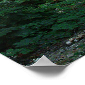 Poster Viscosa 6 (Coin)