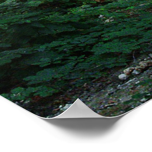 Poster Viscosa 6 (Coin)