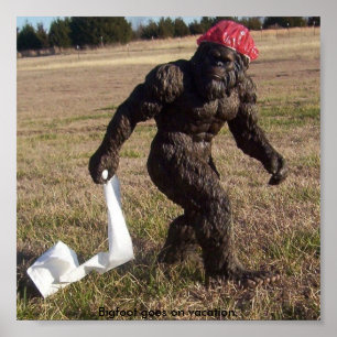 Poster Visée de Bigfoot