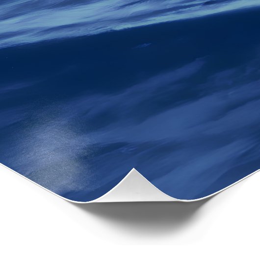 Poster Visez-le seul (Coin)