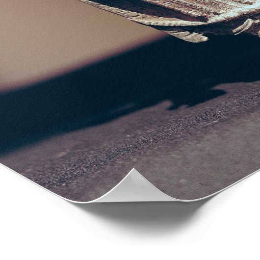 Poster Vishnu (Coin)