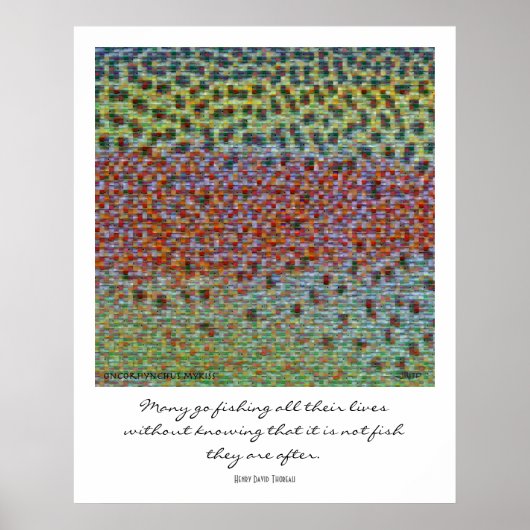 Poster vishuiden (Voorkant)