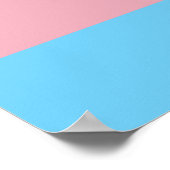 Poster Visibilité du drapeau de fierté transgenre de Slip (Coin)