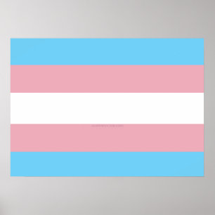 Poster Visibilité du drapeau de fierté transgenre de Slip