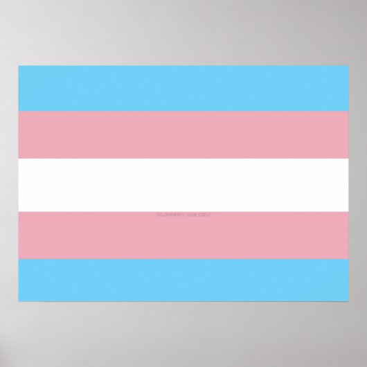 Poster Visibilité du drapeau de fierté transgenre de Slip (Devant)