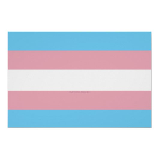 Poster Visibilité du drapeau de fierté transgenre de Slip (Devant)