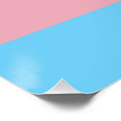 Poster Visibilité du drapeau de fierté transgenre de Slip (Coin)