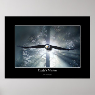 Poster Vision d'Eagle Forêt humide Imaginaire de faune Ar