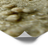 Poster Visions sur la plage Imprimer (Coin)