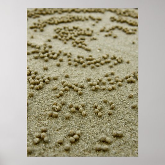 Poster Visions sur la plage Imprimer (Devant)