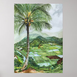 Poster Visite de la vallée de Hanalei