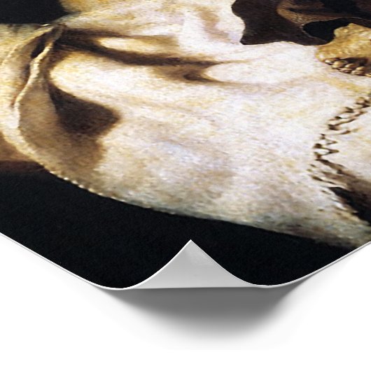 Poster Visite de Saint François d'Assise (Coin)