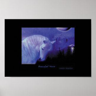 Poster Visite tranquille