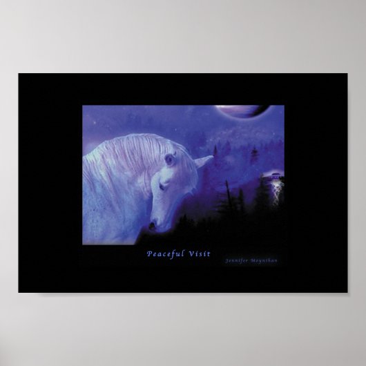 Poster Visite tranquille (Devant)