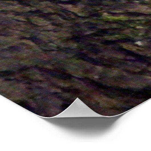 Poster Visiteur (Coin)