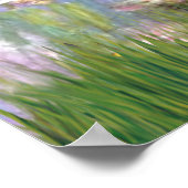 Poster Viszla 2 - Vizsa (Coin)