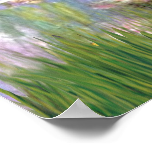 Poster Viszla 2 - Vizsa (Coin)