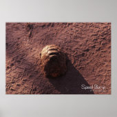 Poster Vitesse (Devant)