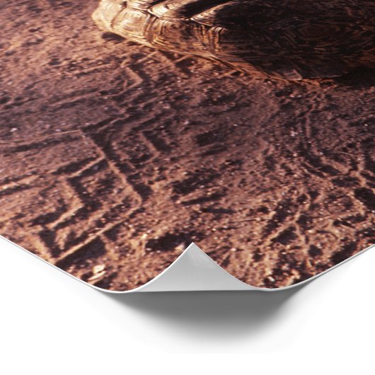 Poster Vitesse (Coin)