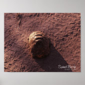 Poster Vitesse (Devant)