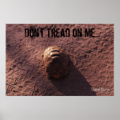 Poster Vitesse (Devant)