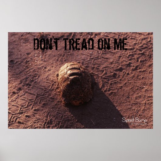 Poster Vitesse (Devant)