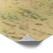 Poster 'Vitrage à queue blanche' (Coin)