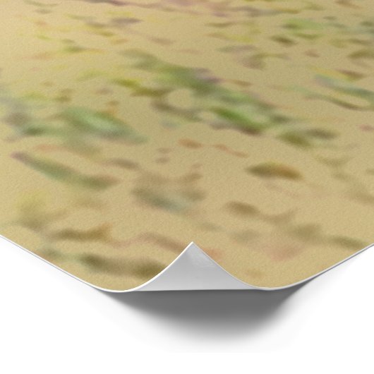 Poster 'Vitrage à queue blanche' (Coin)