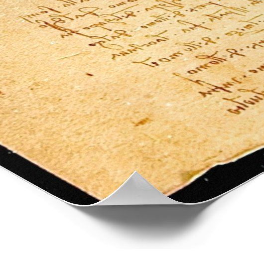 Poster Vitruve (Coin)