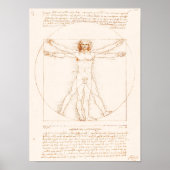 Poster Vitruve | Léonard de Vinci | (Devant)