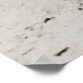 Poster Viva Cristo Rey - Miguel Pro (Coin)