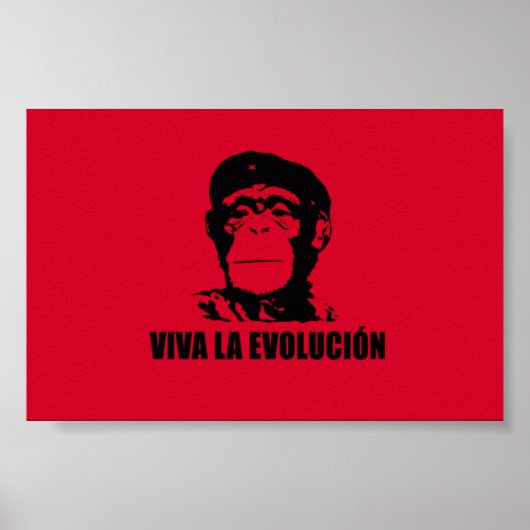 Poster Viva La Evolucion (Devant)