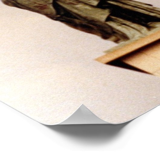 Poster Viva La Liberté (Coin)