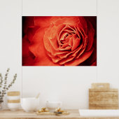 Poster vivant rose (Cuisine)