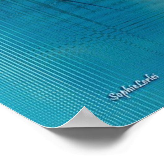 Poster Vivarium (Coin)