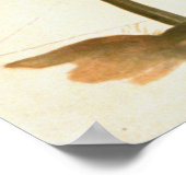 Poster Vive la France 1918 (Coin)