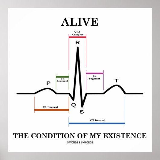 Poster Vivez La Condition De Mon Existence (ECG/EKG) (Devant)