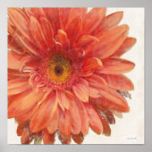 Poster Vivid Daisy (Devant)