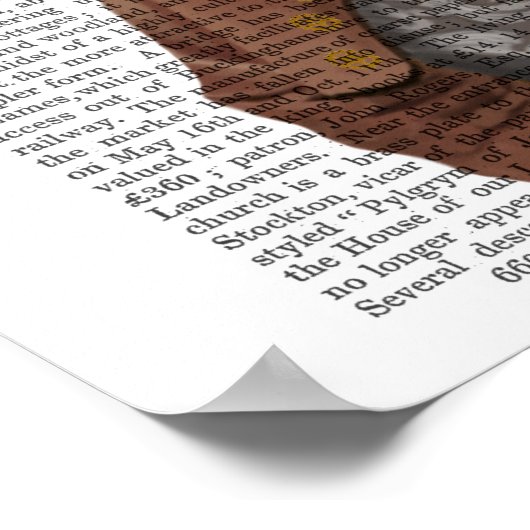 Poster Vivienne Steampunk Fox (Coin)