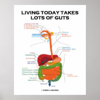 Vivre Aujourd'Hui Prend Beaucoup De Guts Système D
