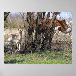 Poster Vivre ensemble