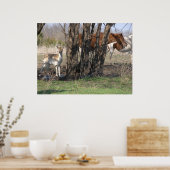 Poster Vivre ensemble (Cuisine)