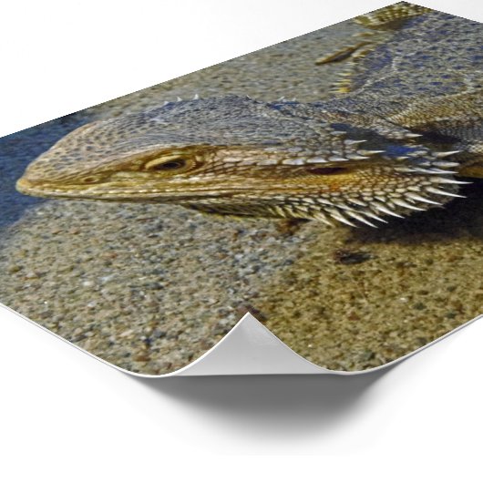 Poster Vivre sous le feu - Dragon à l'oreille (Coin)